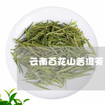 云南百花山普洱茶/2023033167364