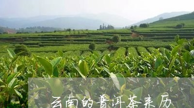 云南的普洱茶来历/2023031640393