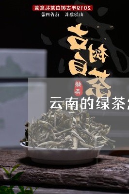 云南的绿茶怎么泡/2023032592037