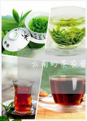 云南的茶农普洱茶/2023031756361