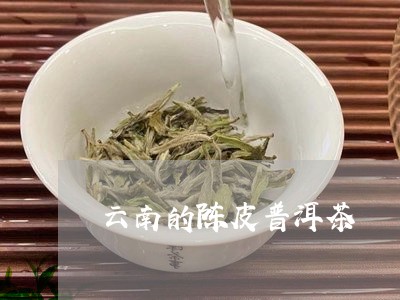 云南的陈皮普洱茶/2023041076249