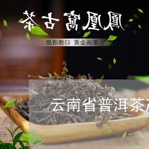 云南省普洱茶产地/2023031649474