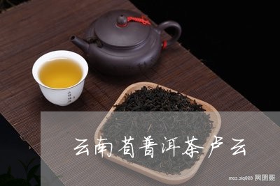 云南省普洱茶卢云/2023033074047