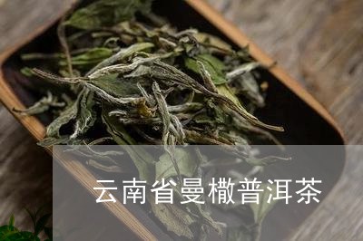 云南省曼橵普洱茶/2023033096069