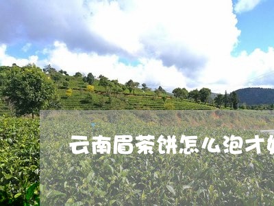 云南眉茶饼怎么泡才好喝/2023040132757