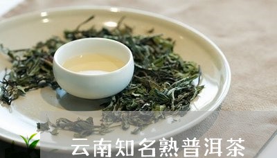 云南知名熟普洱茶/2023040981747