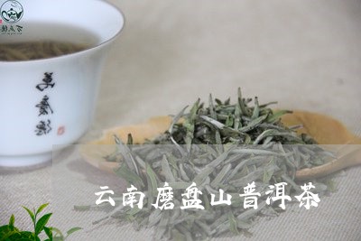 云南磨盘山普洱茶/2023041216959