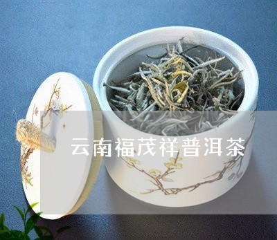 云南福茂祥普洱茶/2023041487704