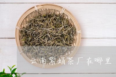 云南紫娟茶厂在哪里/2023032296362