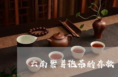 云南紫芽孢茶的存放/2023032170795