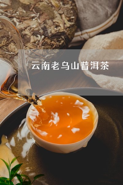 云南老乌山普洱茶/2023040964937