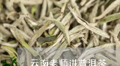 云南老师讲普洱茶/2023041096150