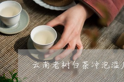 云南老树白茶冲泡温度多少/2023033137247