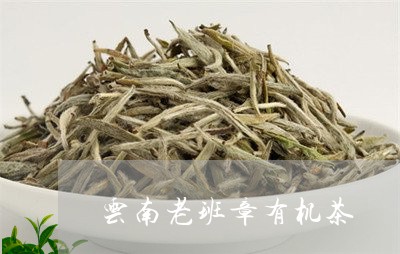 云南老班章有机茶/2023032881672