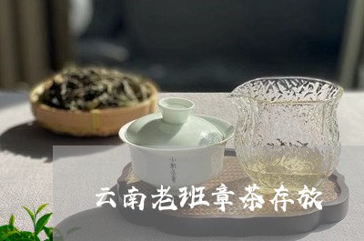 云南老班章茶存放/2023032903614