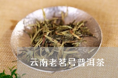 云南老茗号普洱茶/2023040173949