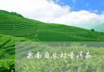 云南自然村普洱茶/2023033069483