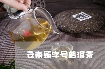 云南臻字号普洱茶/2023031821693