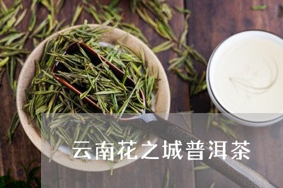 云南花之城普洱茶/2023041003938