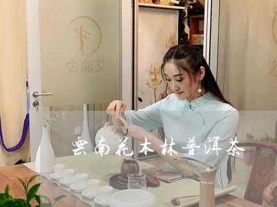 云南花木林普洱茶/2023031830704