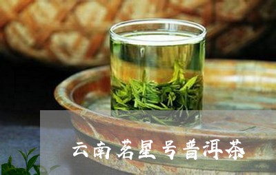 云南茗星号普洱茶/2023041363048