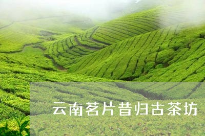 云南茗片昔归古茶坊/2023041445937