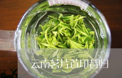 云南茗片首印昔归/2023032355240