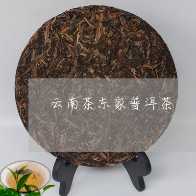 云南茶东家普洱茶/2023041279570