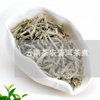 云南茶农普洱茶煮/2023031794947