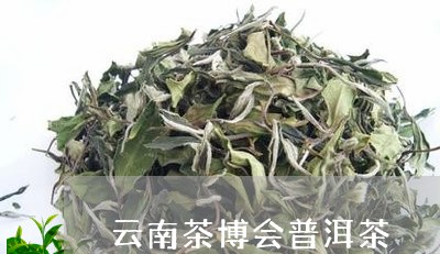 云南茶博会普洱茶/2023031631916