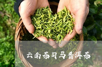 云南茶司马普洱茶/2023041081682