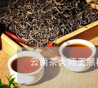 云南茶大师王熙群/2023032519493