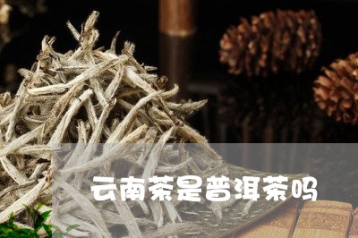 云南茶是普洱茶吗/2023031631503