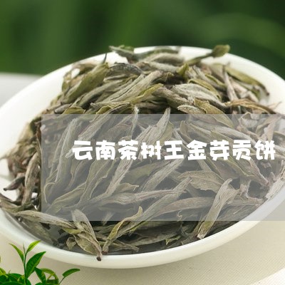 云南茶树王金芽贡饼/2023032180582