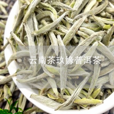 云南茶玖缘普洱茶/2023031605036