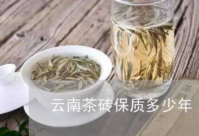 云南茶砖保质多少年/2023032195929