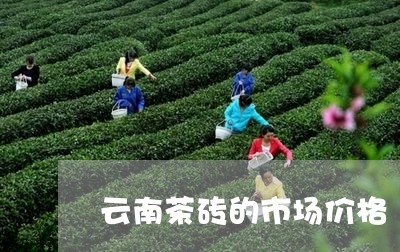 云南茶砖的市场价格/2023032252504