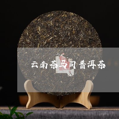 云南茶马司普洱茶/2023031739372