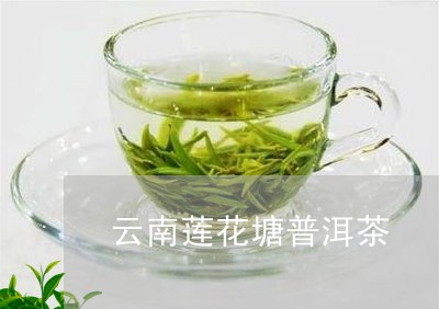 云南莲花塘普洱茶/2023041202725