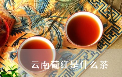 云南葡红是什么茶/2023032713036