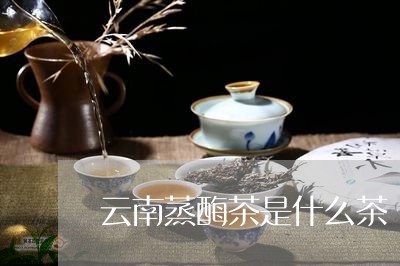 云南蒸酶茶是什么茶/2023032230360