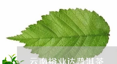 云南裕业达普洱茶/2023041264837