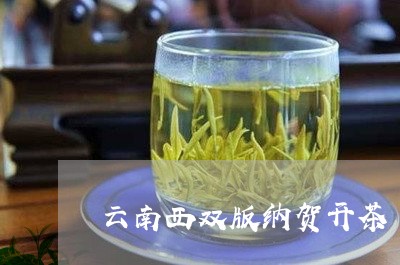 云南西双版纳贺开茶/2023032171603