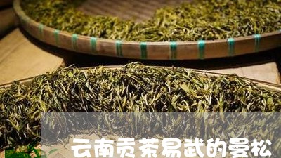 云南贡茶易武的曼松/2023031947159