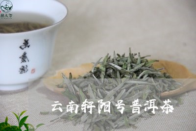 云南轩阳号普洱茶/2023041393936