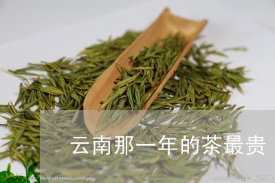 云南那一年的茶最贵/2023032173726