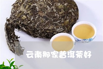 云南那家普洱茶好/2023040914048