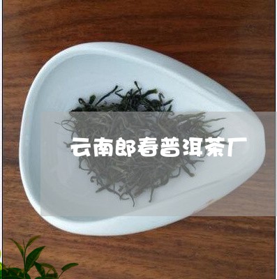 云南郎春普洱茶厂/2023033058681