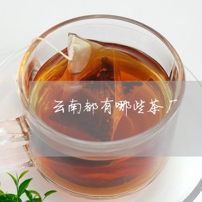 云南都有哪些茶厂/2023032589460