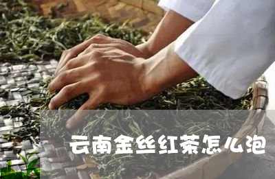 云南金丝红茶怎么泡/2023032275149